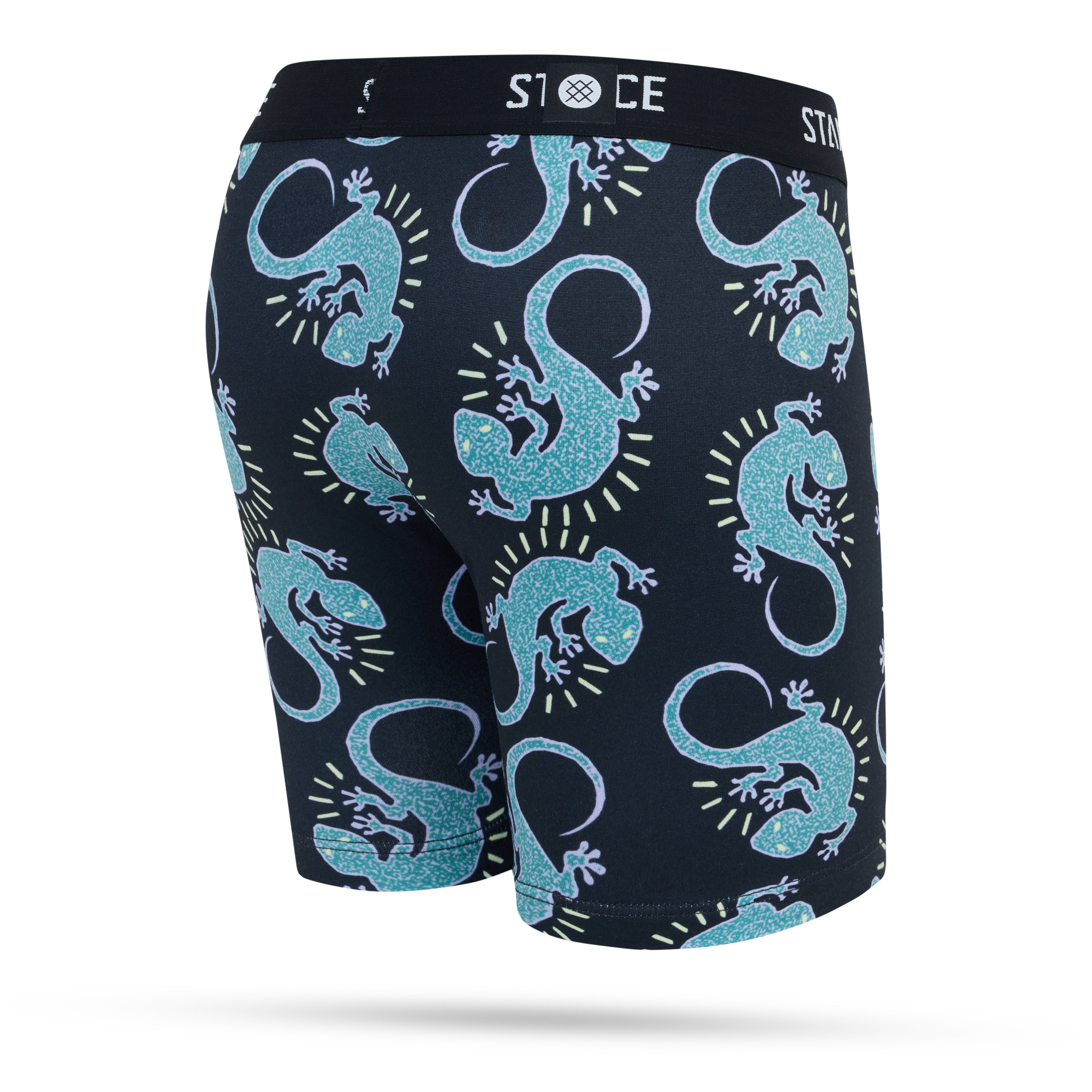 Stance Boys Gecko Boxer Brief Black