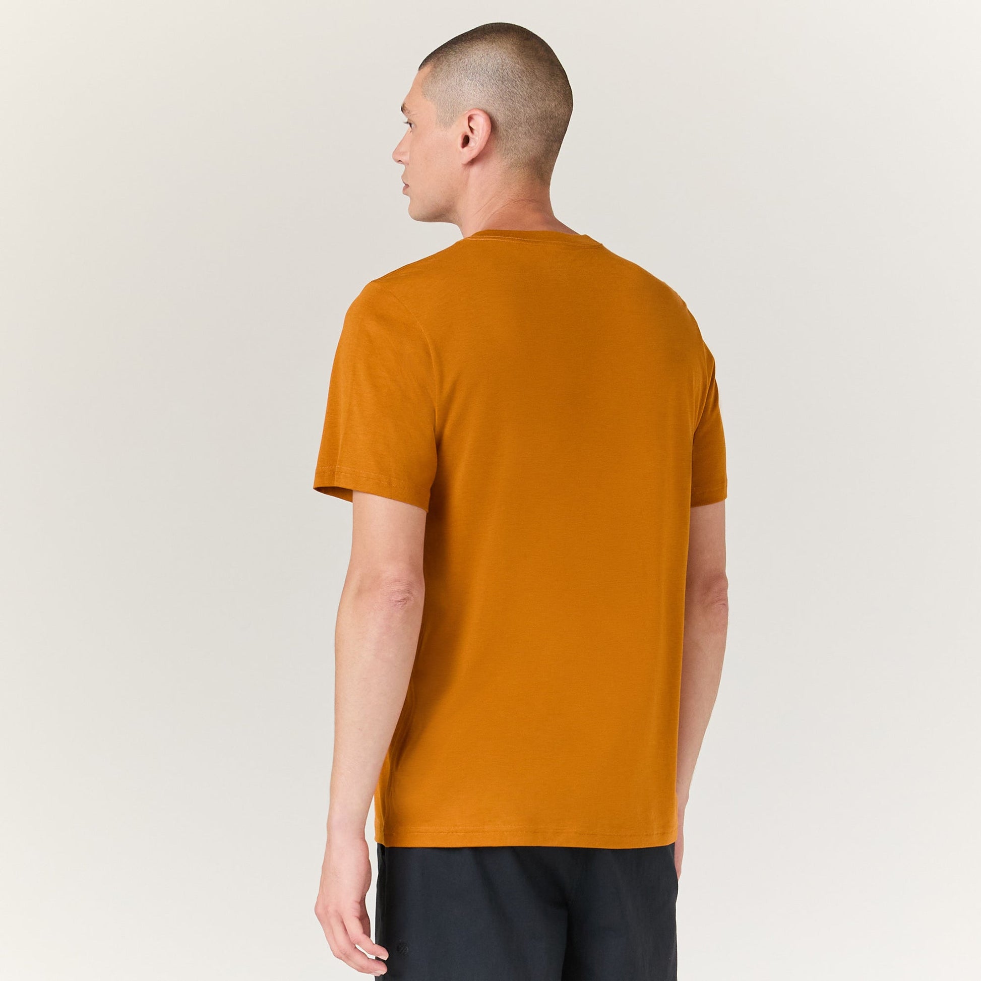 Stance Premiere Tee Spice |model
