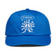 Stance Standard Adjustable Cap Blue