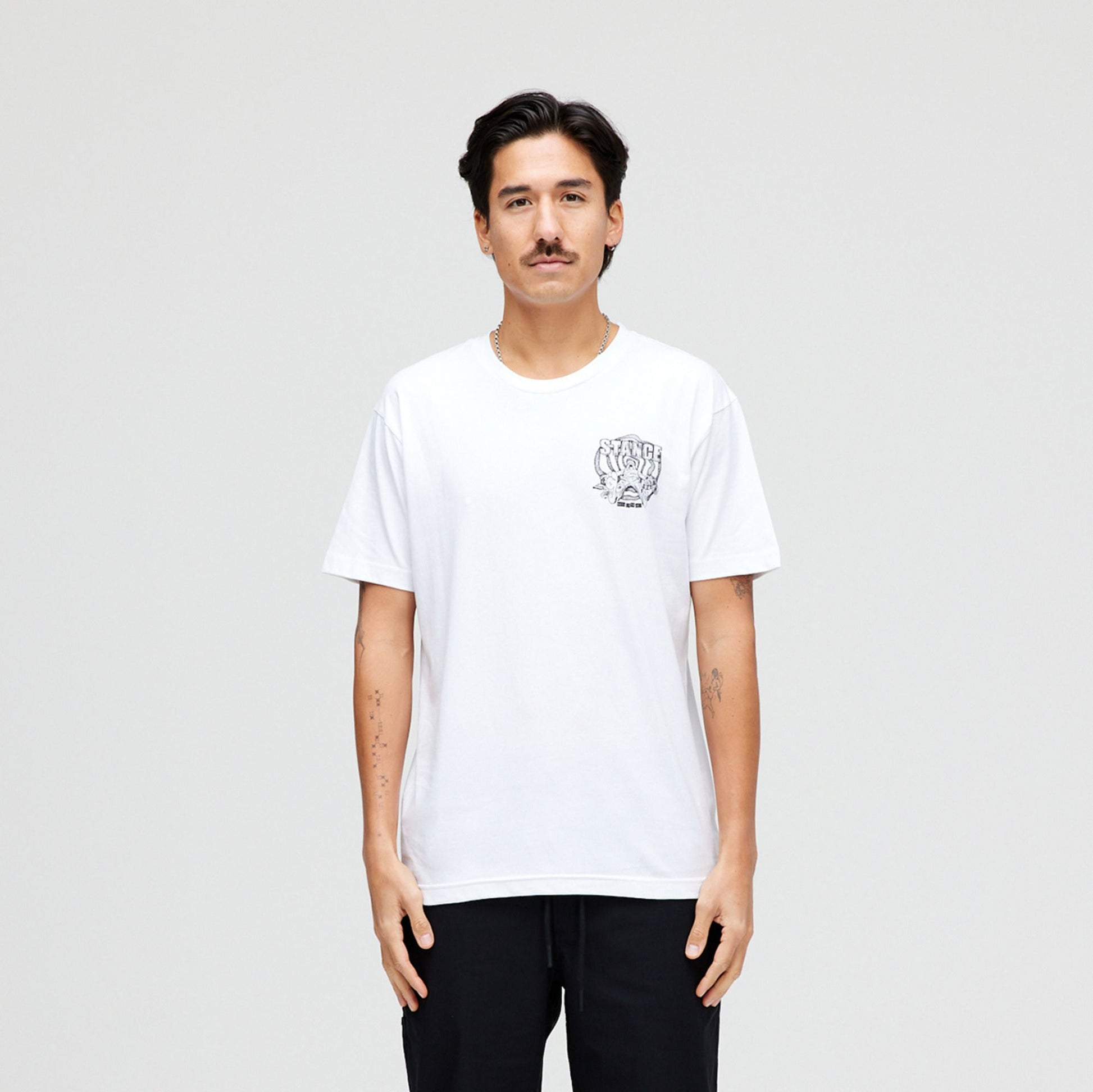 Stance Sock It To Me T-Shirt White |model