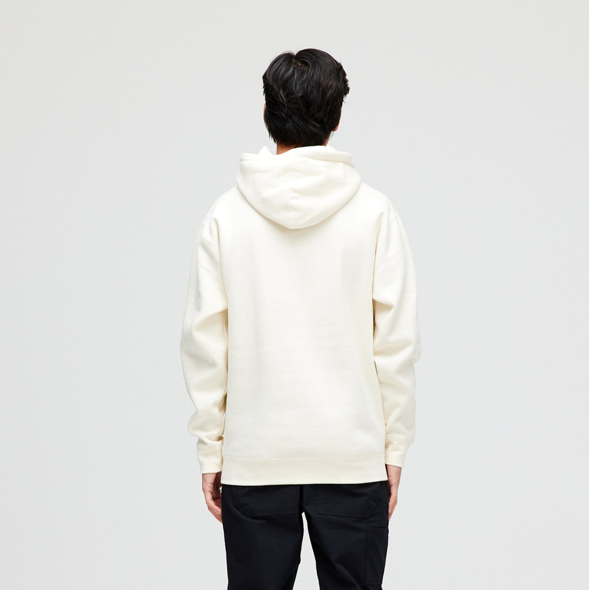 Stance Established Hoodie Bone |model