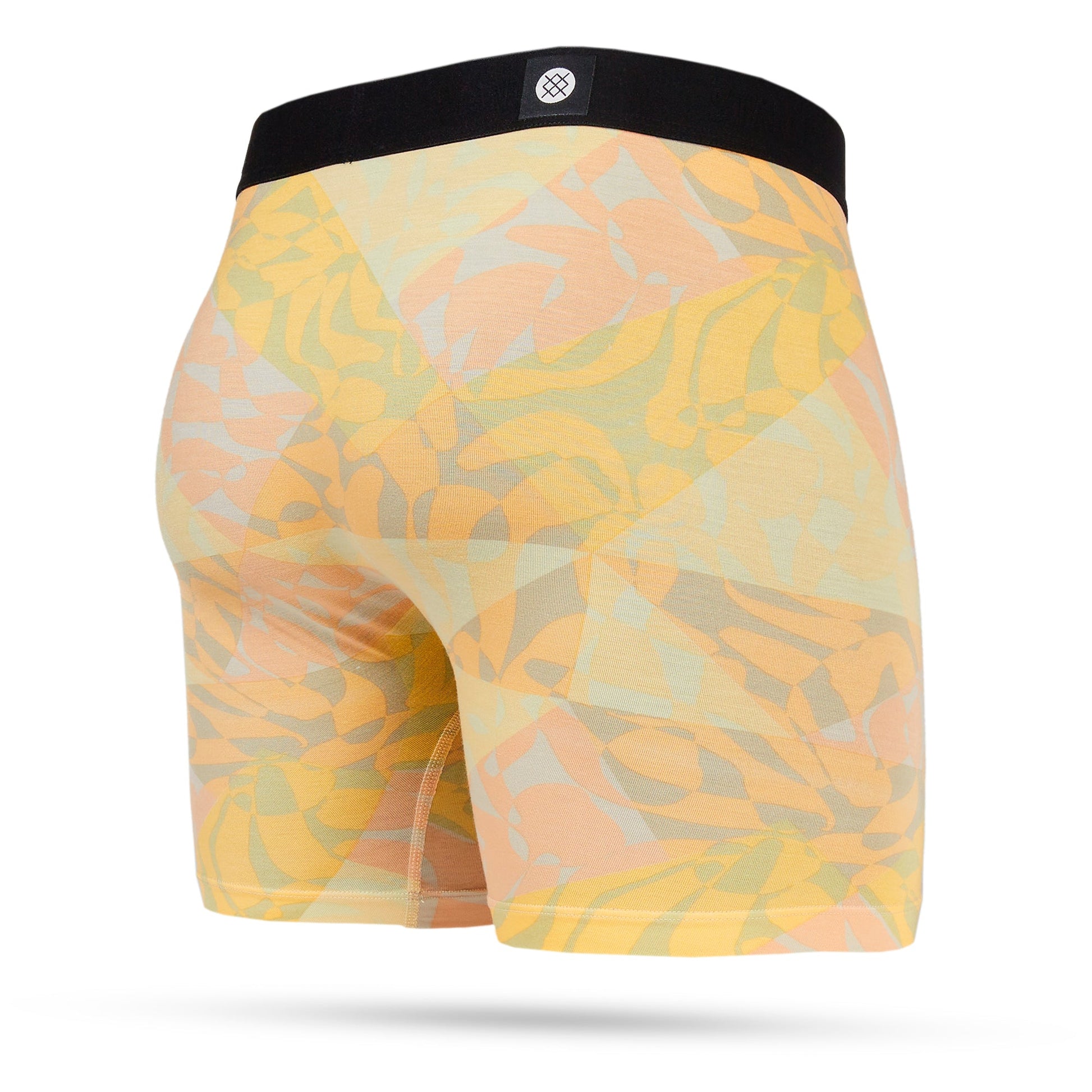 Stance Tri Angular Boxer Brief Wholester Multi