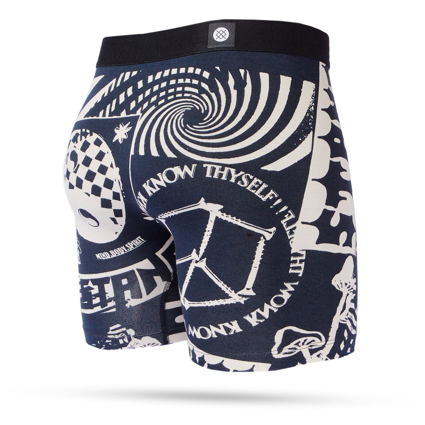 Stance Disorted Box Brief Wholester Black White